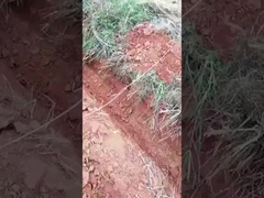 0.6 tonnes 0,8 tonnes mini-excavatrice à chenille petite micro-excavatrice